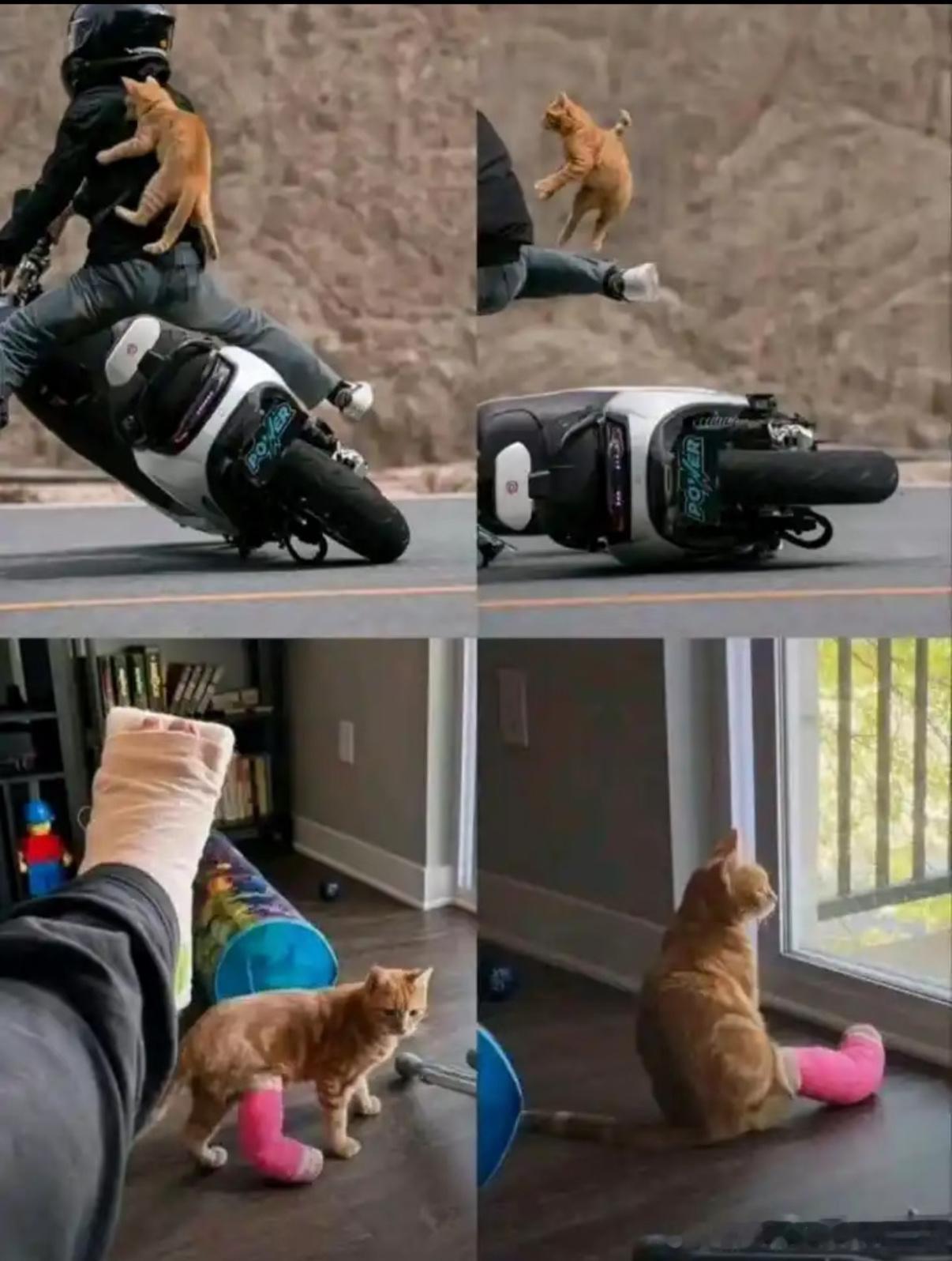 5344哈哈哈哈​​​