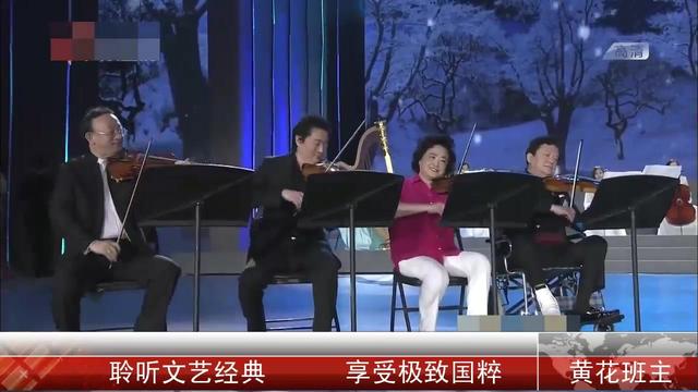 小提琴演奏:梁祝(盛中国)_土豆视频