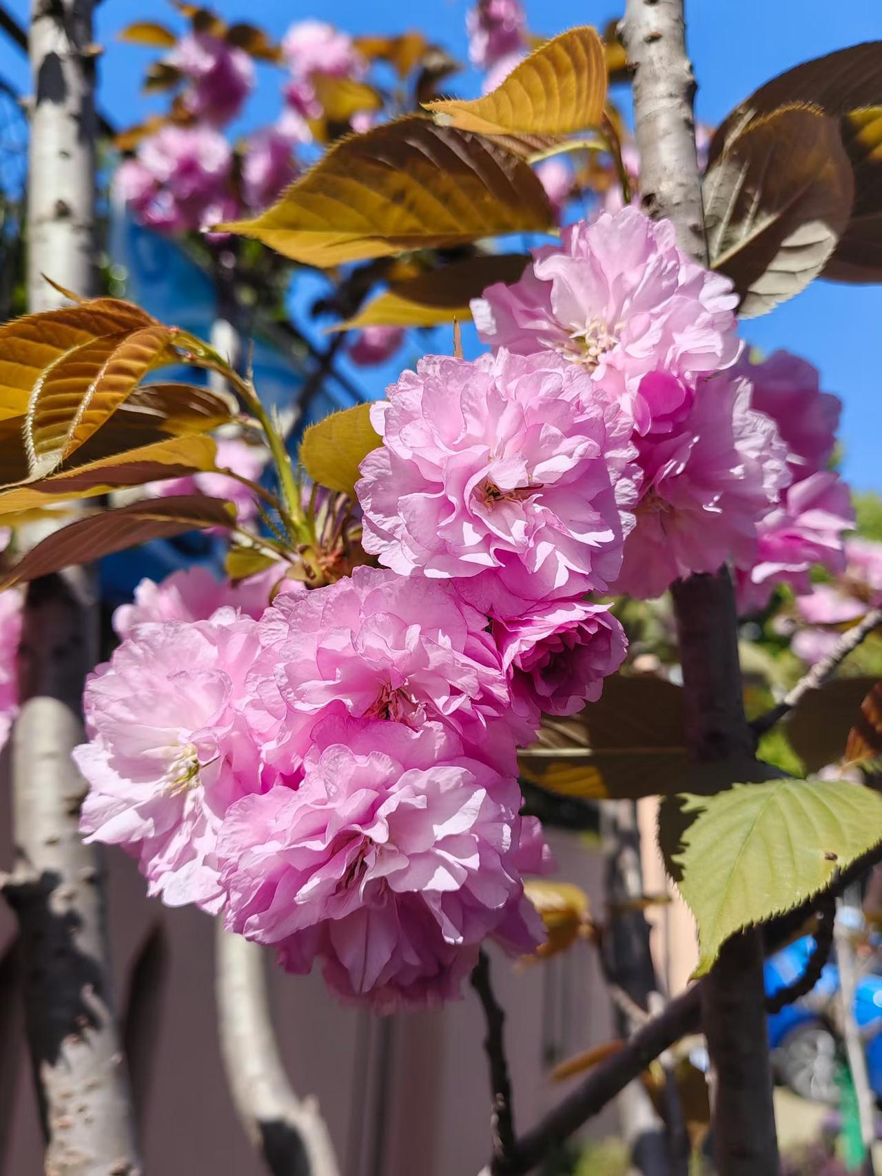 人这一辈子，走过半生才慢慢明白，很多东西看似拥有，其实只是暂时停留。财富会