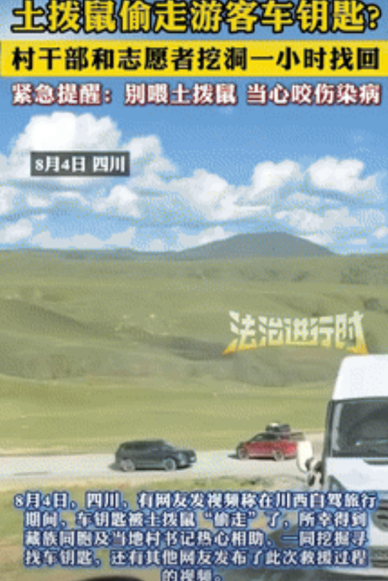 “笑岔气了！”一游客在川西自驾旅行期间，看到有土拨鼠出没，他急忙下车想拍摄土拨鼠