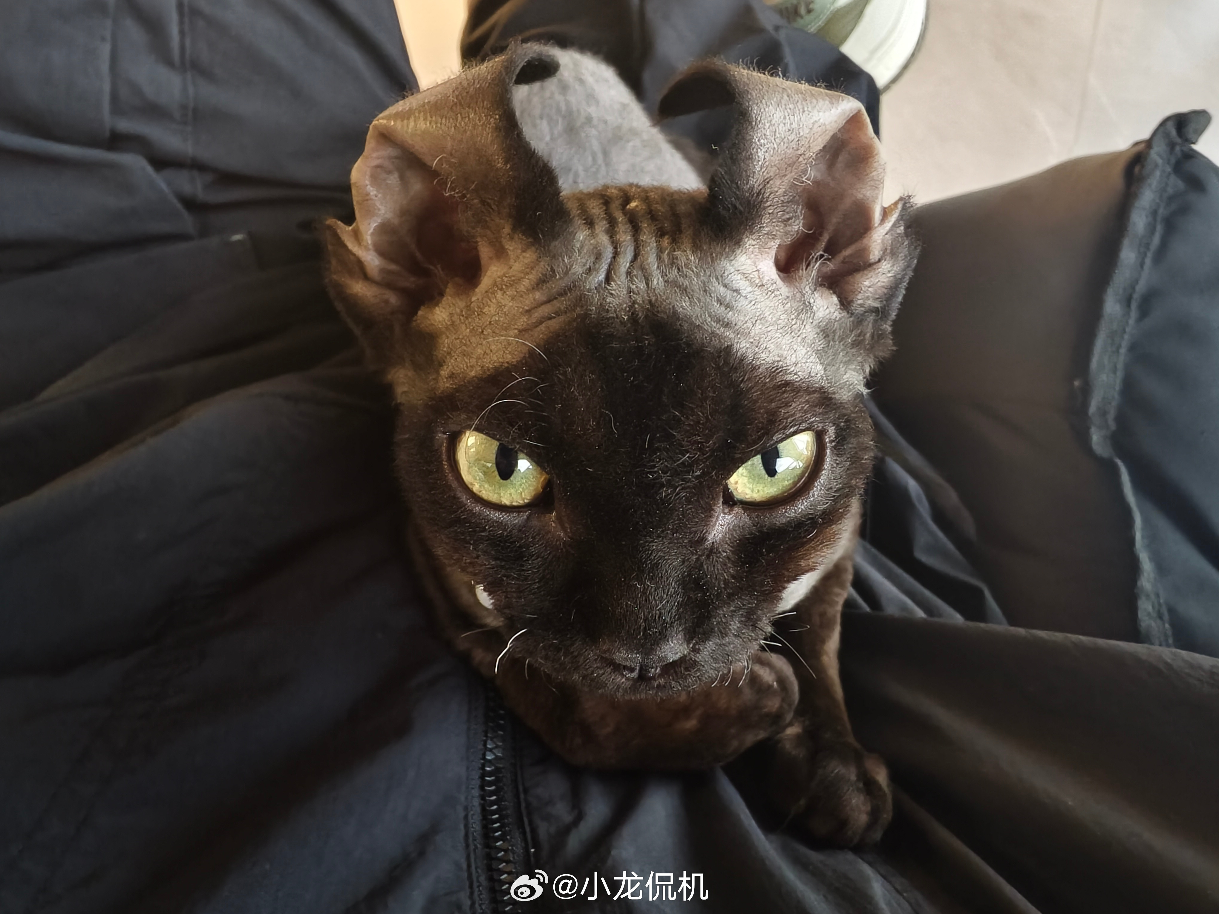 又学会了一种拍摄视角，蚊子视角[捂脸哭][捂脸哭][捂脸哭]​​​