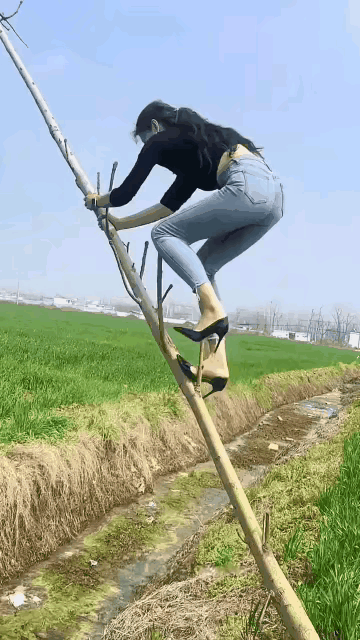 姑娘请爱护树木🥲