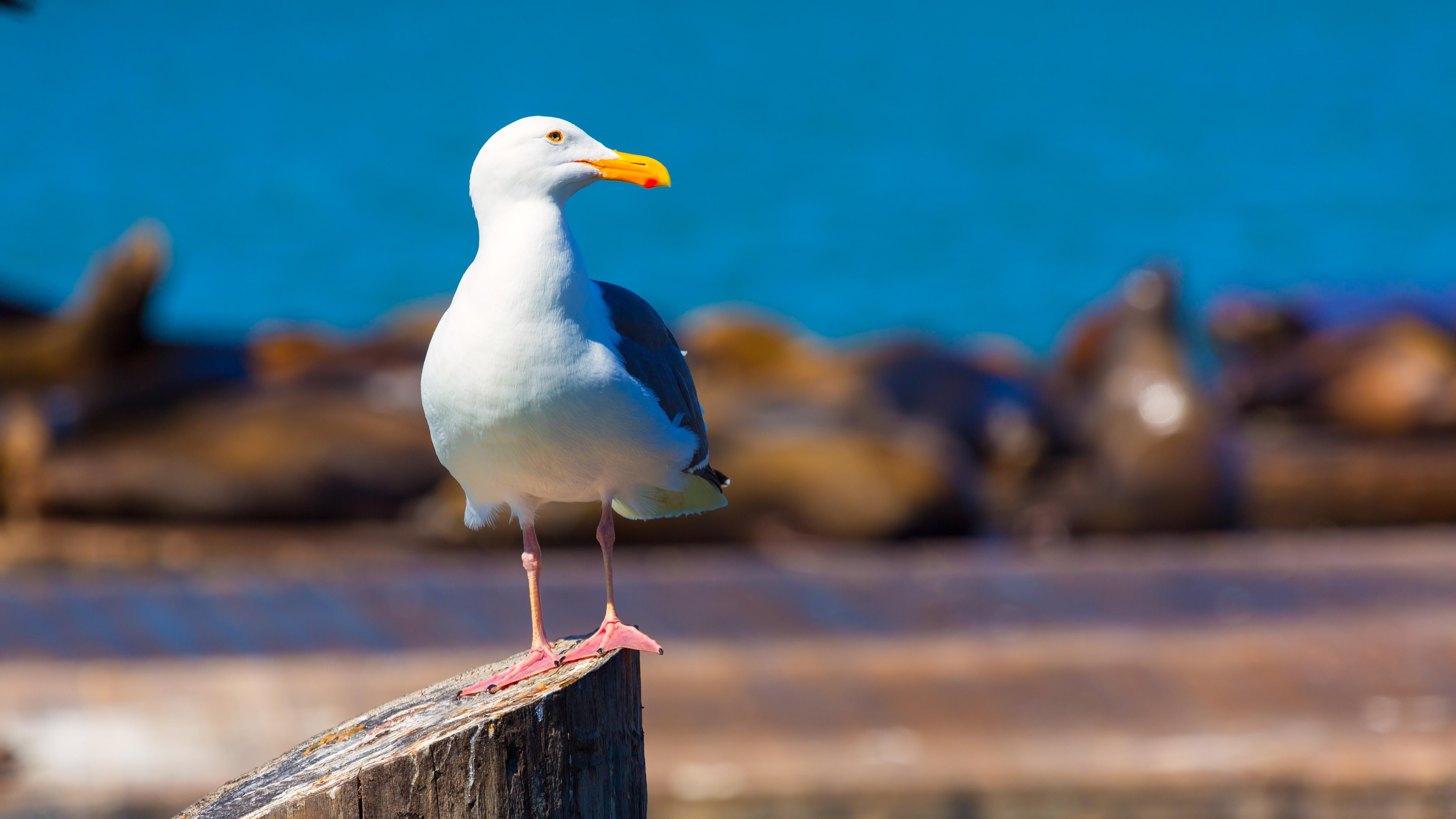 2025券商暴利背后：行业变革正当时