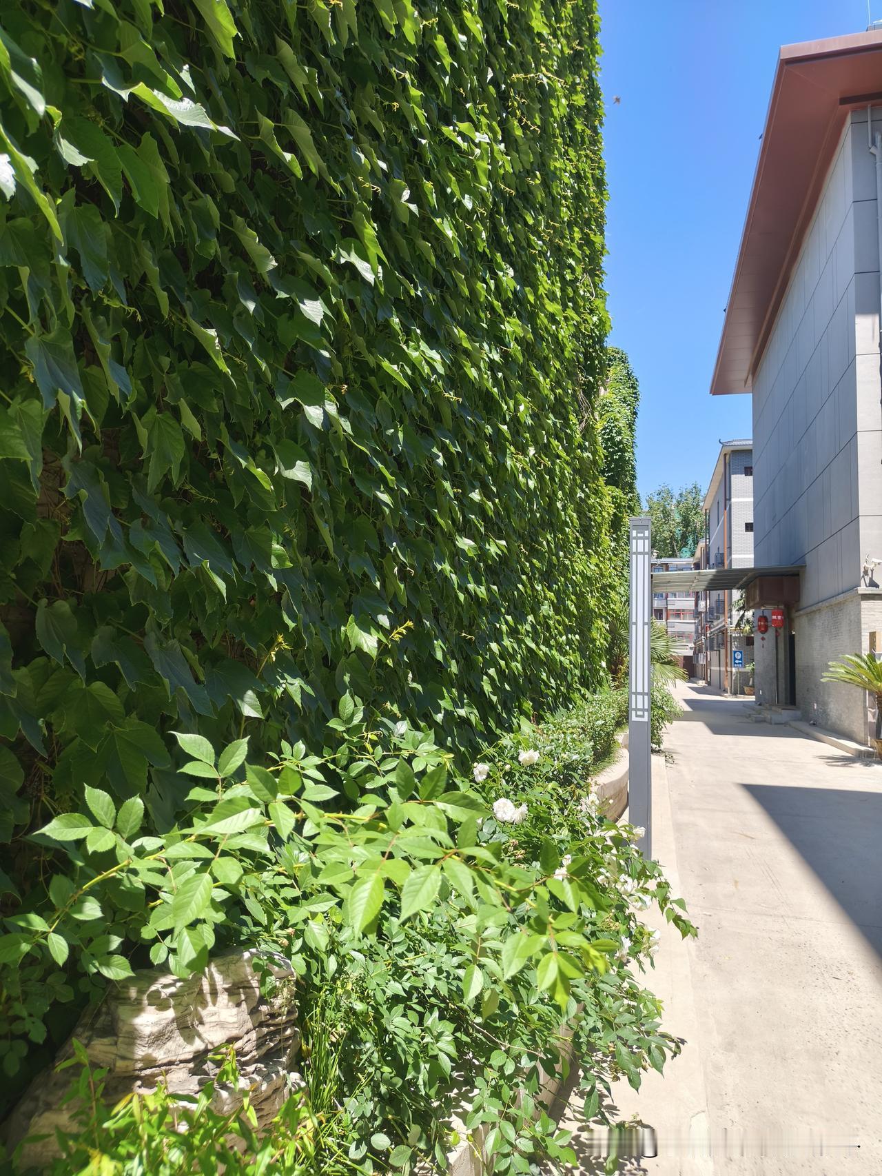 70后真的还适合上班吗？现在2点多了，我们公司规定下午1：30上班，但是老太太和