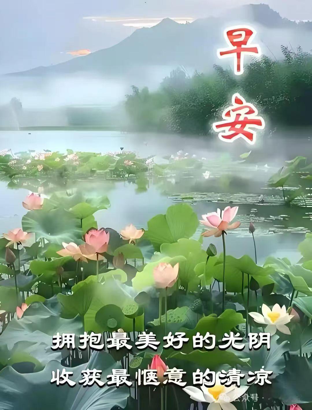 人间浅夏，时光恰好。愿你今日笑颜如花，前路繁花似锦，往后岁月，平安喜乐，万事胜意