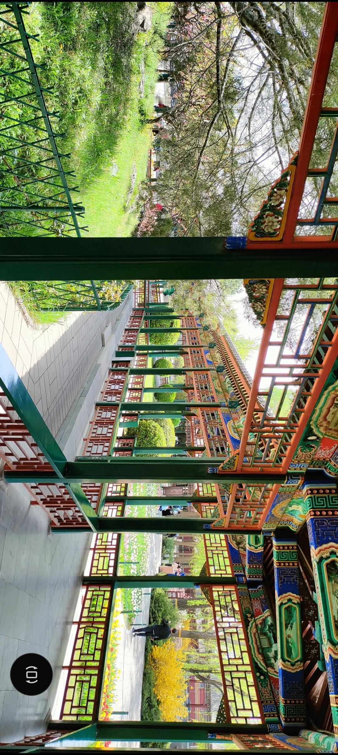 探秘古色古香的园林，感受传统建筑的魅力！🏯🌳