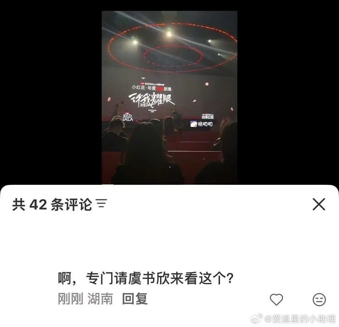 🍠人真是会戳虞书欣肺管子，说小🍠请她去是为了给她看赵露思的许我耀眼是年度剧王