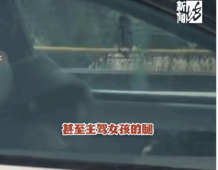 高速开智驾睡觉！五一假期，男子在开车高速返程途中，无意间朝旁边车道瞟了一眼，整个