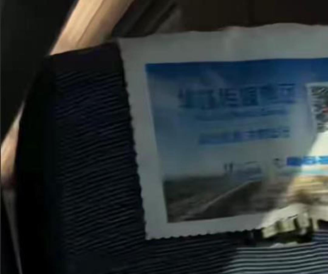 有位女乘客在社交平台上发帖，说自己和朋友坐高铁出去玩，刚上车就碰上俩小孩在车厢里