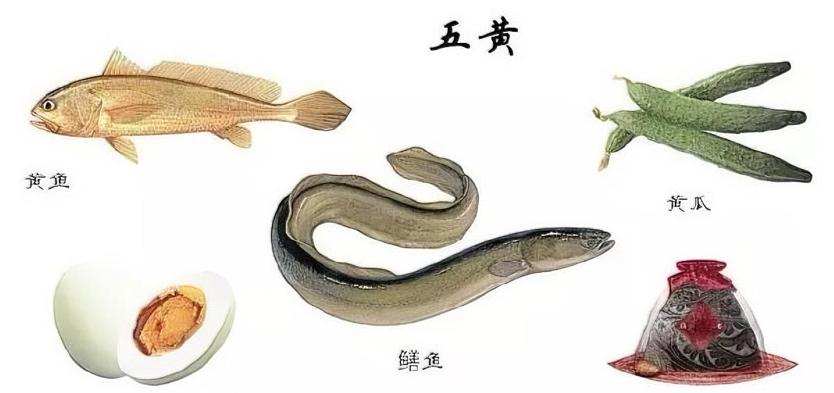 端午将至吃“五黄”：一、黄鳝二、黄鱼三、黄瓜四、咸鸭蛋五、雄黄酒