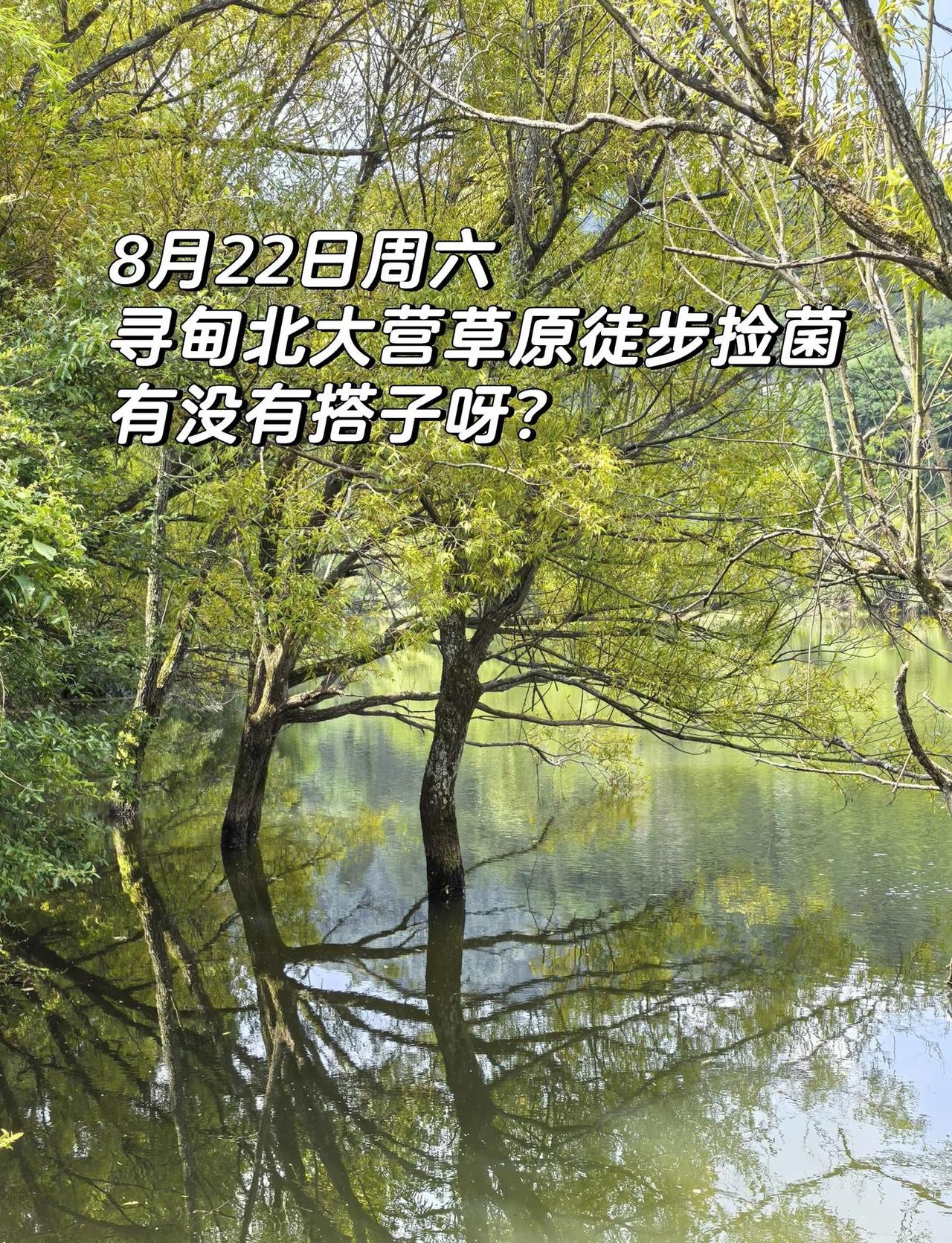 8月22日寻甸北大营草原徒步捡菌找搭子8月22日周六昆明出发，寻甸北大营草原