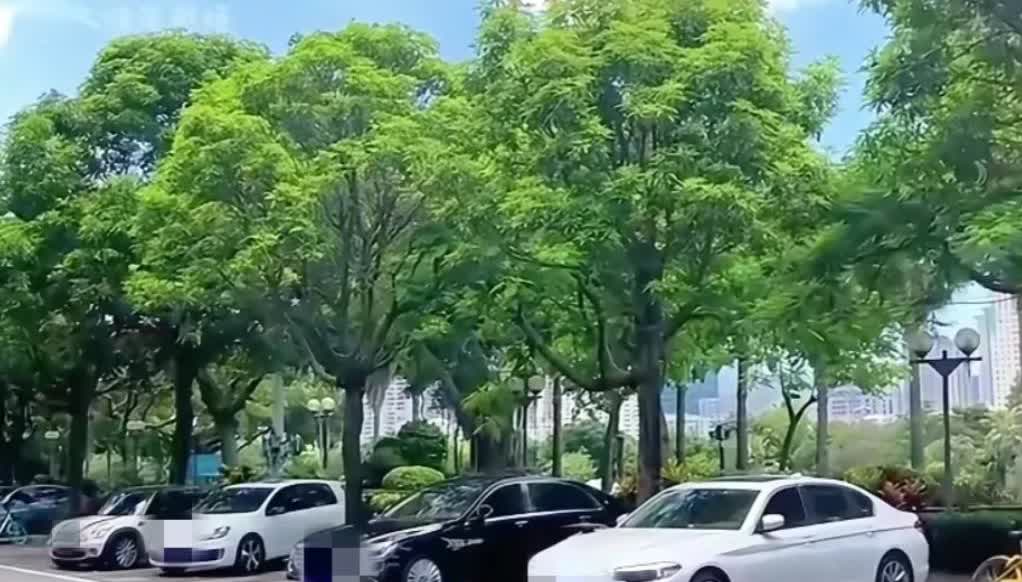“鸠占鹊巢还理直气壮？”山东青岛，男子花十几万买了个车位，刚买没几天就因工作问题