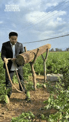 实操必挨骂讽刺形式主义的佳作👍