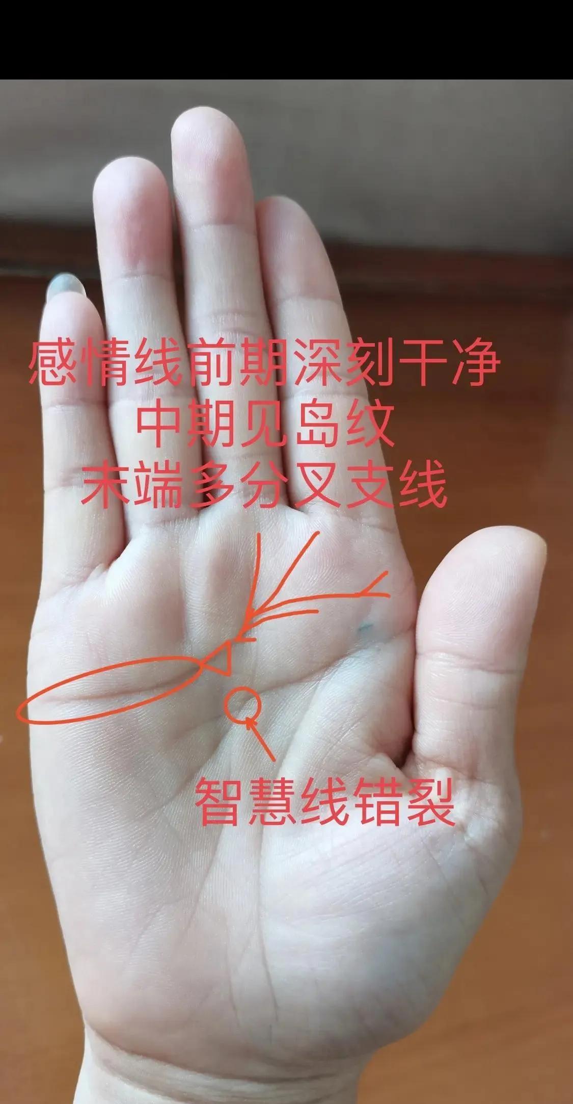 女性手相代表了三个重要方面自己的直觉，智慧婚姻里的和谐，把握分寸财来运势的