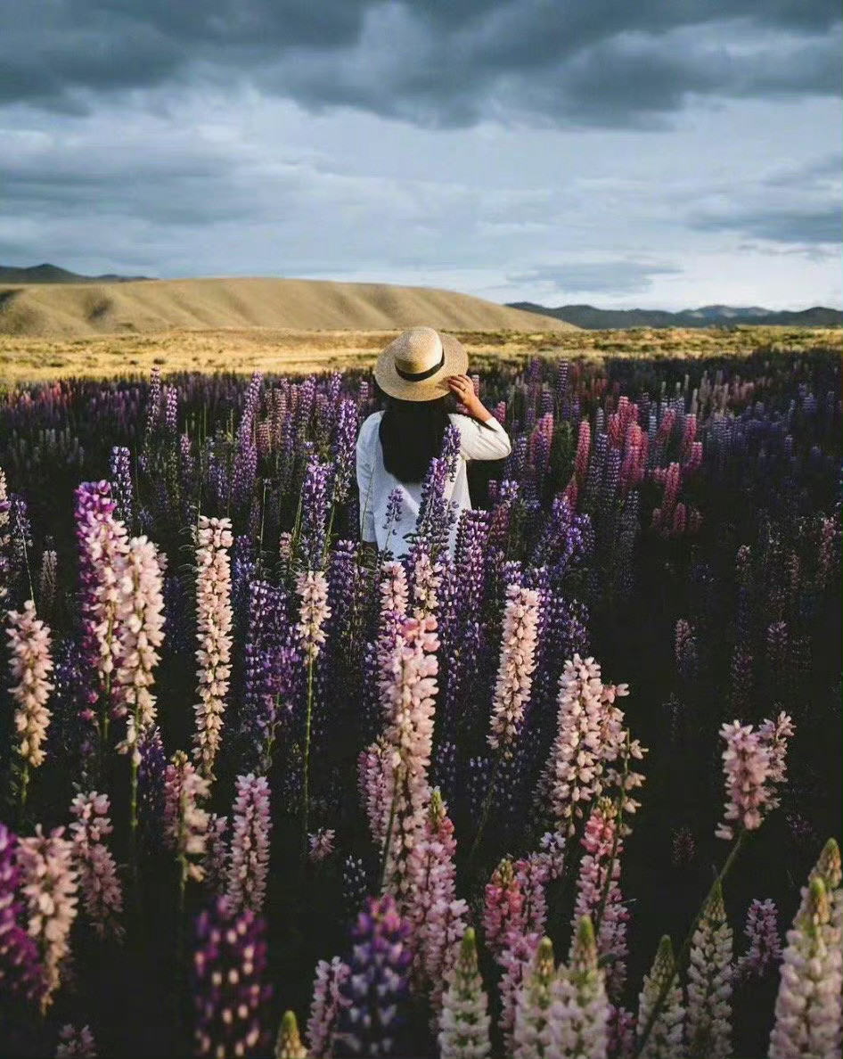 珍惜某一个人，珍惜某个物品，珍惜某一段时光，不如直接领悟为珍惜自己。自己和某一个