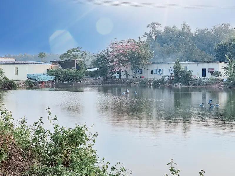 痛心！广东英德1岁多走失男童已离世，全网祈祷还是没留住他谁能想到，一场走亲