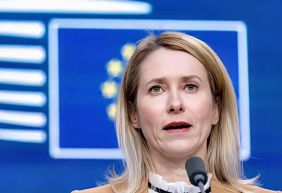 最扎心的拒绝！欧盟不在基辅给承诺，暴露欧洲对乌真实底线，结局早已注定。据