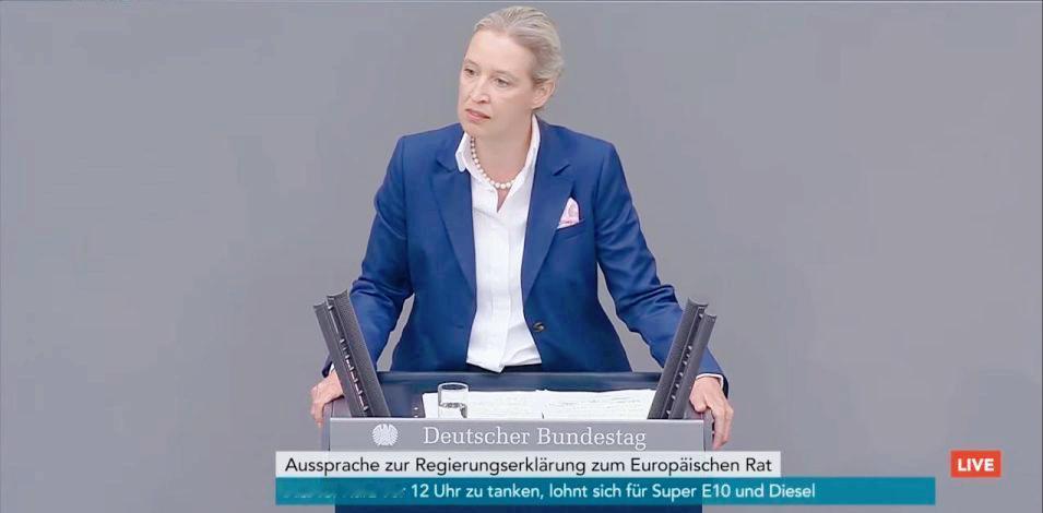 德国另类选择党主席爱丽丝·魏德尔在联邦议会讲坛猛烈抨击德国政府：“你们向乌克