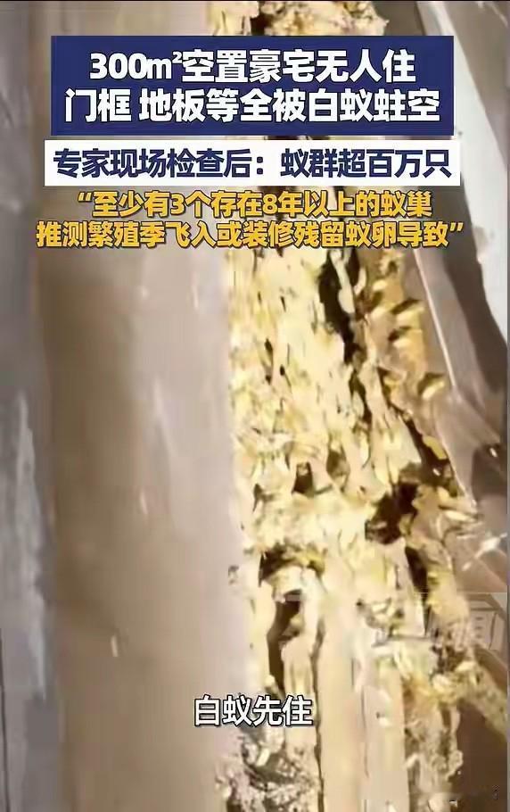 300平新房变“蚁穴”：5年无人住的房子，揭开中产最深的隐痛近日，广东佛山王