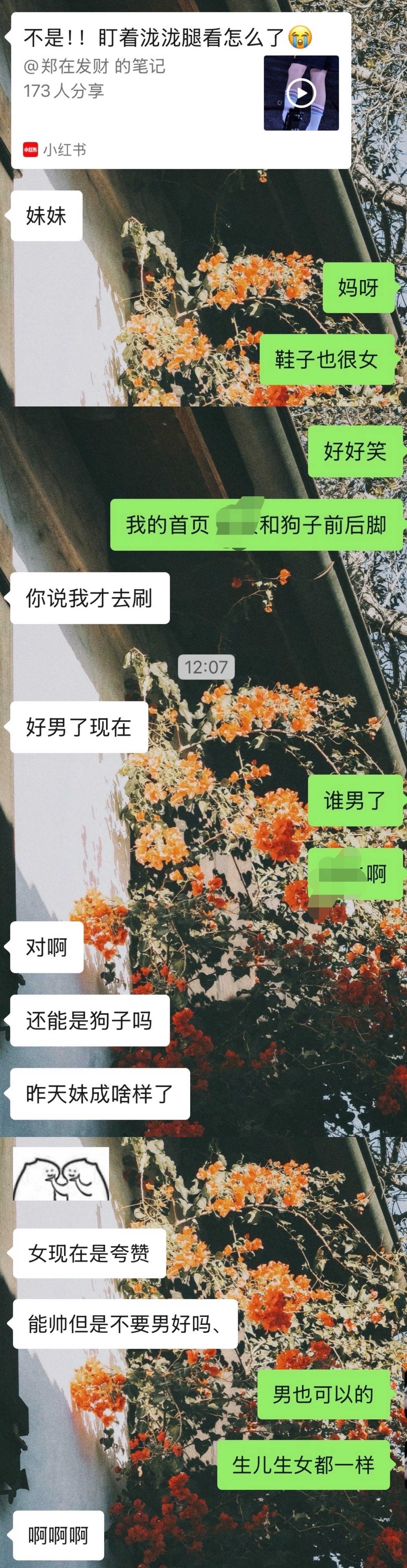 没人懂以上对话是连续发生的好笑程度