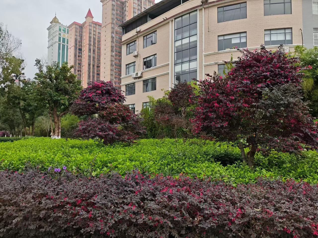 六七十年代的广州人总爱说：乡下人、乡下仔、山仔、捞佬……实际上，不少广州人也是