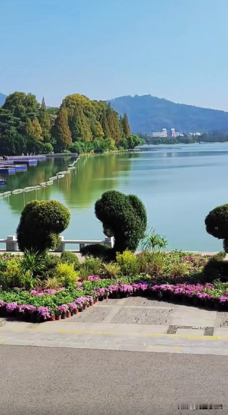 我胃癌手术的化疗药物是什么？有很多胃癌或肠癌的战友在手术前后已准备在化疗，他们