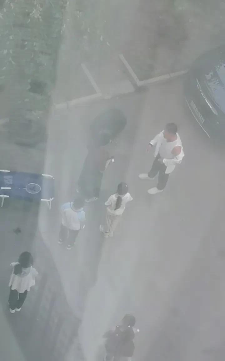 辽宁一小女孩偷摘别人家的杏，杏还没熟，都是青的，小女孩摘了不老少！得有100多颗