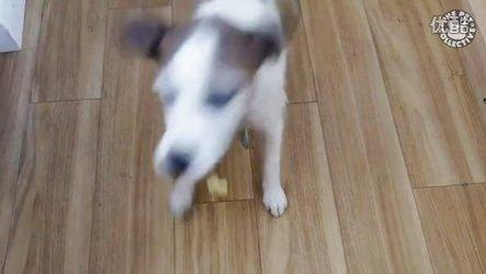 13736983993354678561.jpg?id=0