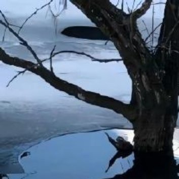 做人要知足常乐，知恩图报；做人要坦诚善良，宽容大度；做人要以心换心，以情换情；做