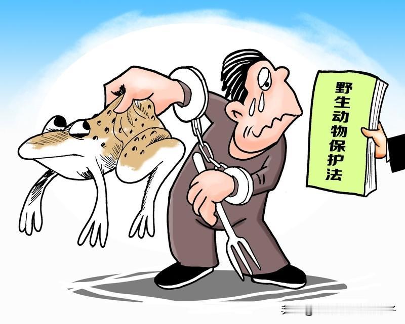 法律禁止食用的动物可不少。像国家保护动物，狼是国家二级保护动物，穿山甲是国家一级