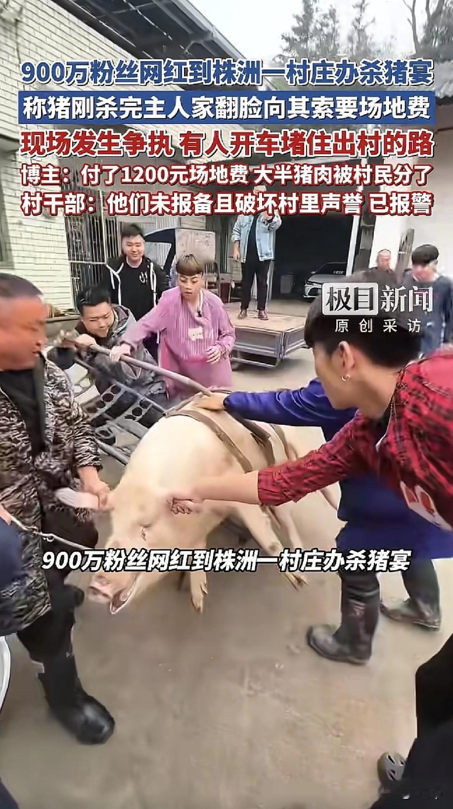 最近湖南一网红办杀猪宴翻车了他花3200多买了一头猪想着免费让村里的老人吃，