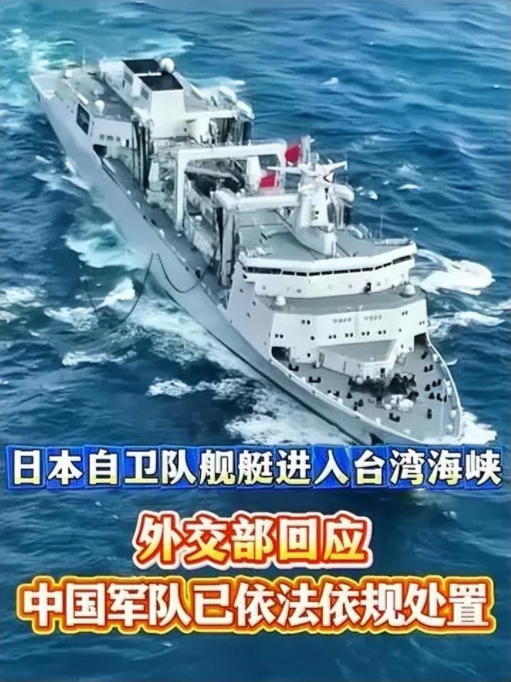 看着它大摇大摆进来，又若无其事离开，心里满是憋屈与愤怒！这根本不是什么正常