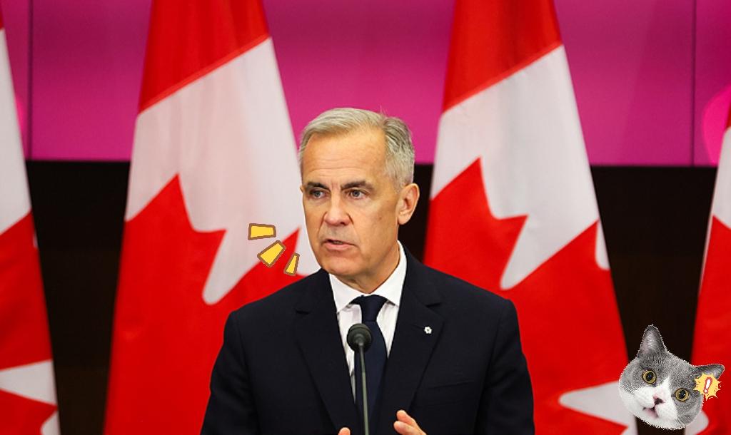 刚刚！加拿大传出重磅信号！加拿大民调机构阿巴卡斯数据公司发布最新调查——超过七