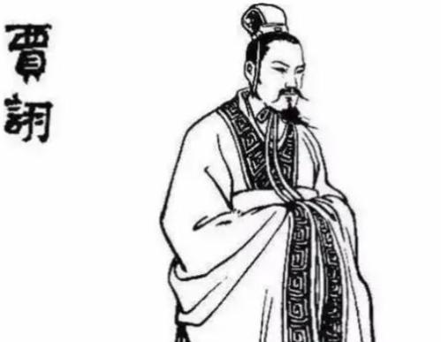 214年，毒士贾诩正在家中会客，突然得到消息谋士荀攸病逝，贾诩脸色大变，赶忙撵走