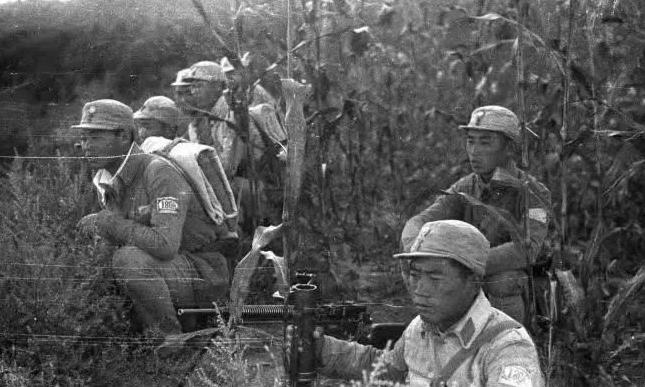 1938年，八路军设伏等待日军自己走进包围圈。突然，不知从哪冒出来的毛驴踩中了地