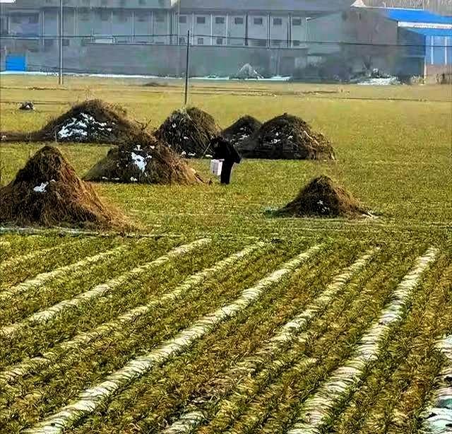 丧葬新规，不火化，要深埋，不留坟头，不硬化地面，同时尊重群众的传统习惯和现实条件