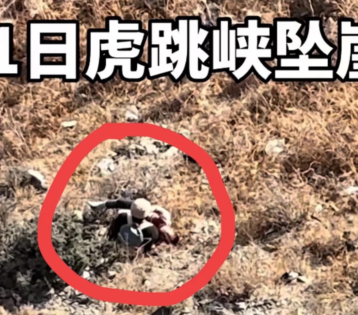 揪心！看到虎跳峡那孩子的视频，真是一声长叹，这奶奶的第一反应，直接要了孩子半条命