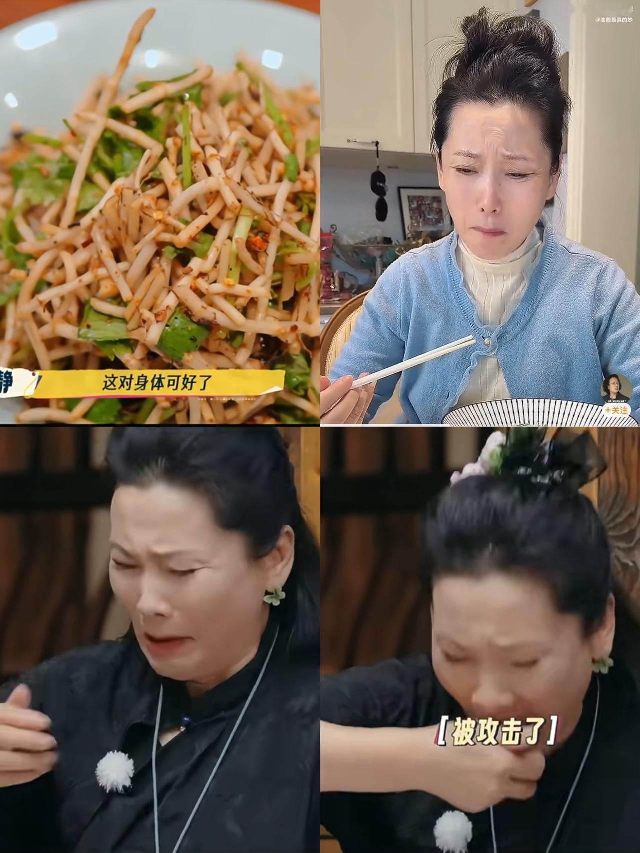 何赛飞老师吃不了折耳根，太正常了！那玩意儿只有云贵川的朋友才能吃，也只有他们