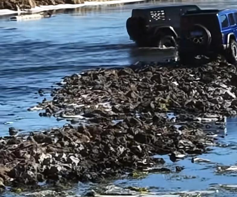 有些人是不需要给他讲情面的阿尔山景区内最近来了一些不速之客，几个人开着越野车直