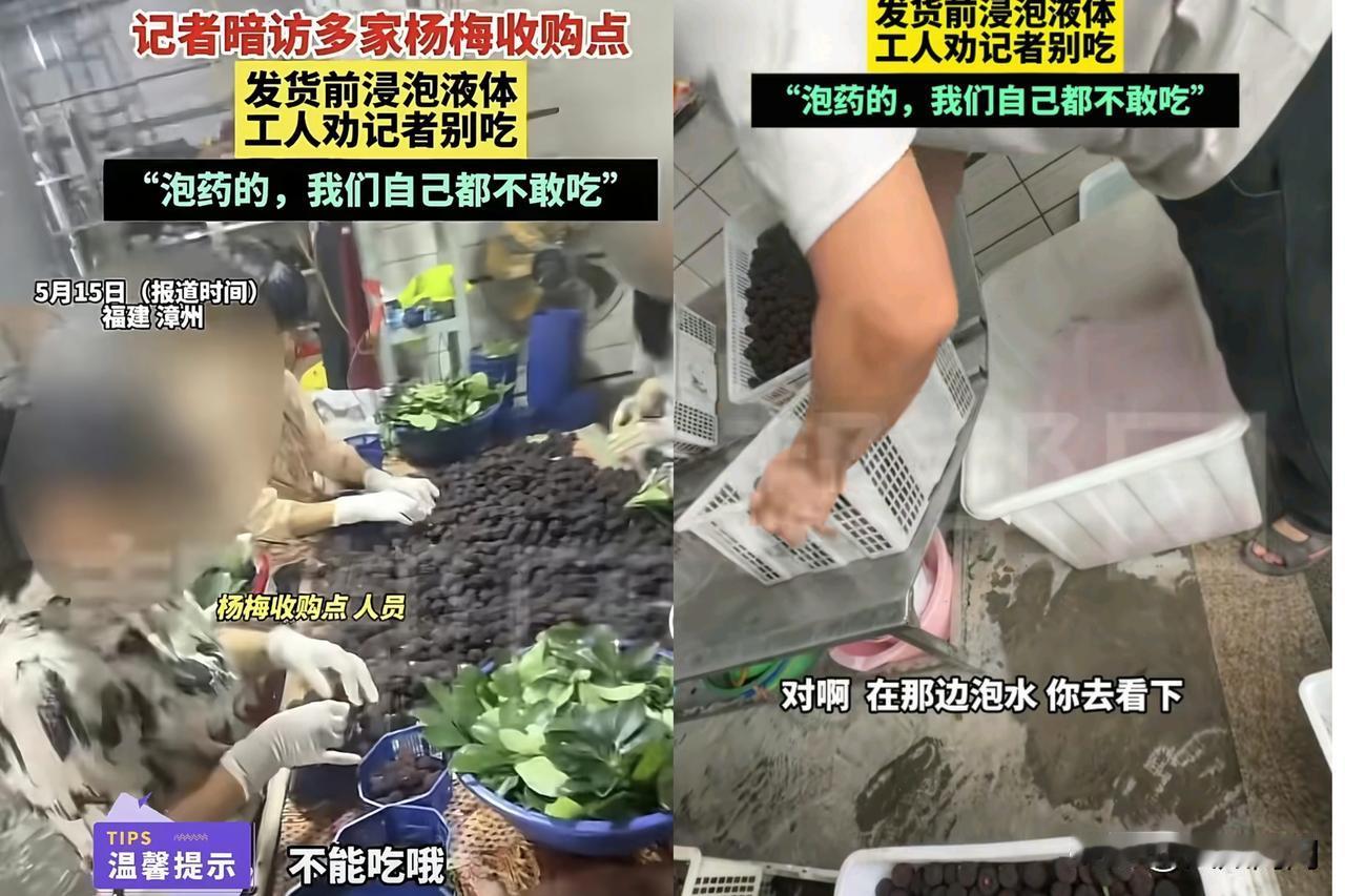 这下好了，不仅传出了漳州，估计都传到全国了吧，怕是要上央视新闻了吧！漳州杨梅这事