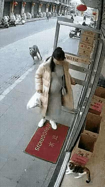 从来没觉得猫咪这么可爱过。