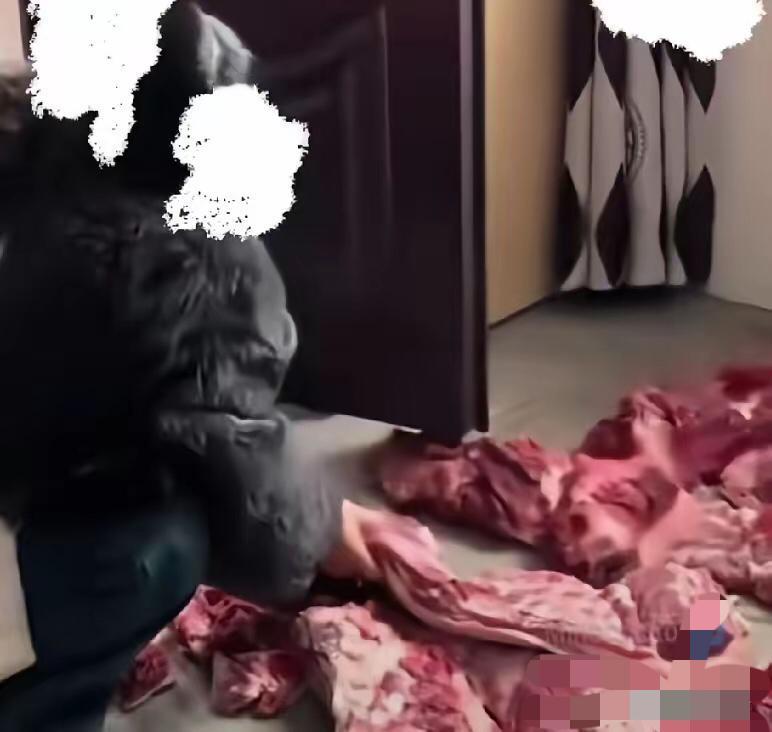 湖北这事儿，把不少家庭里的相处分寸感问题扒得明明白白！父母养了一年的猪杀了，儿媳