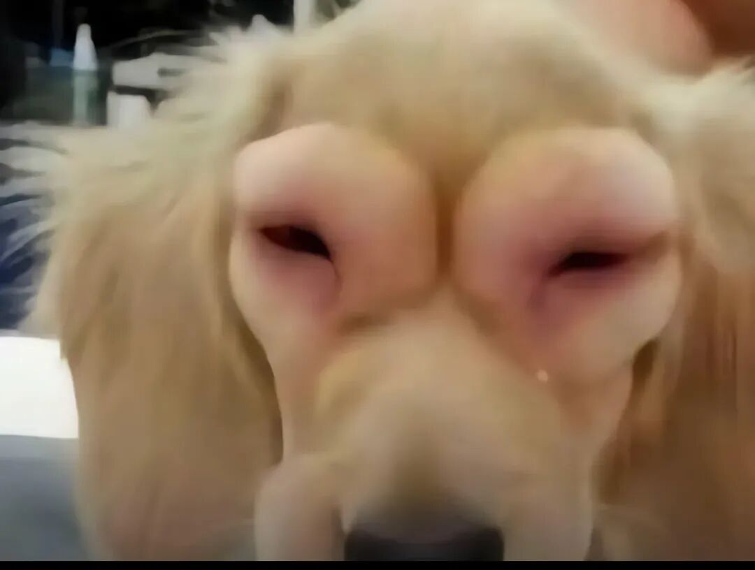 北京房价跌速已达全国第一, 没眼看!