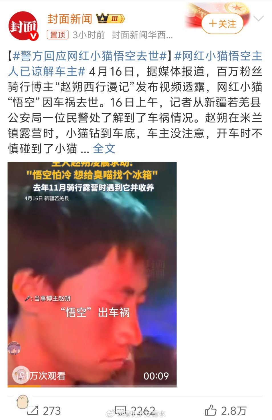 网红小猫悟空主人已谅解车主《没注意》三个字，哎一时之间不知道该怎么说了世事无常，