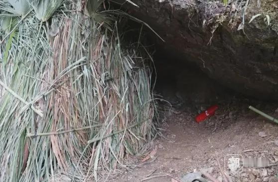 零下5度的深山，8个人顶着寒风硬撑了50多天，突然被通知比赛结束，平分48万奖金