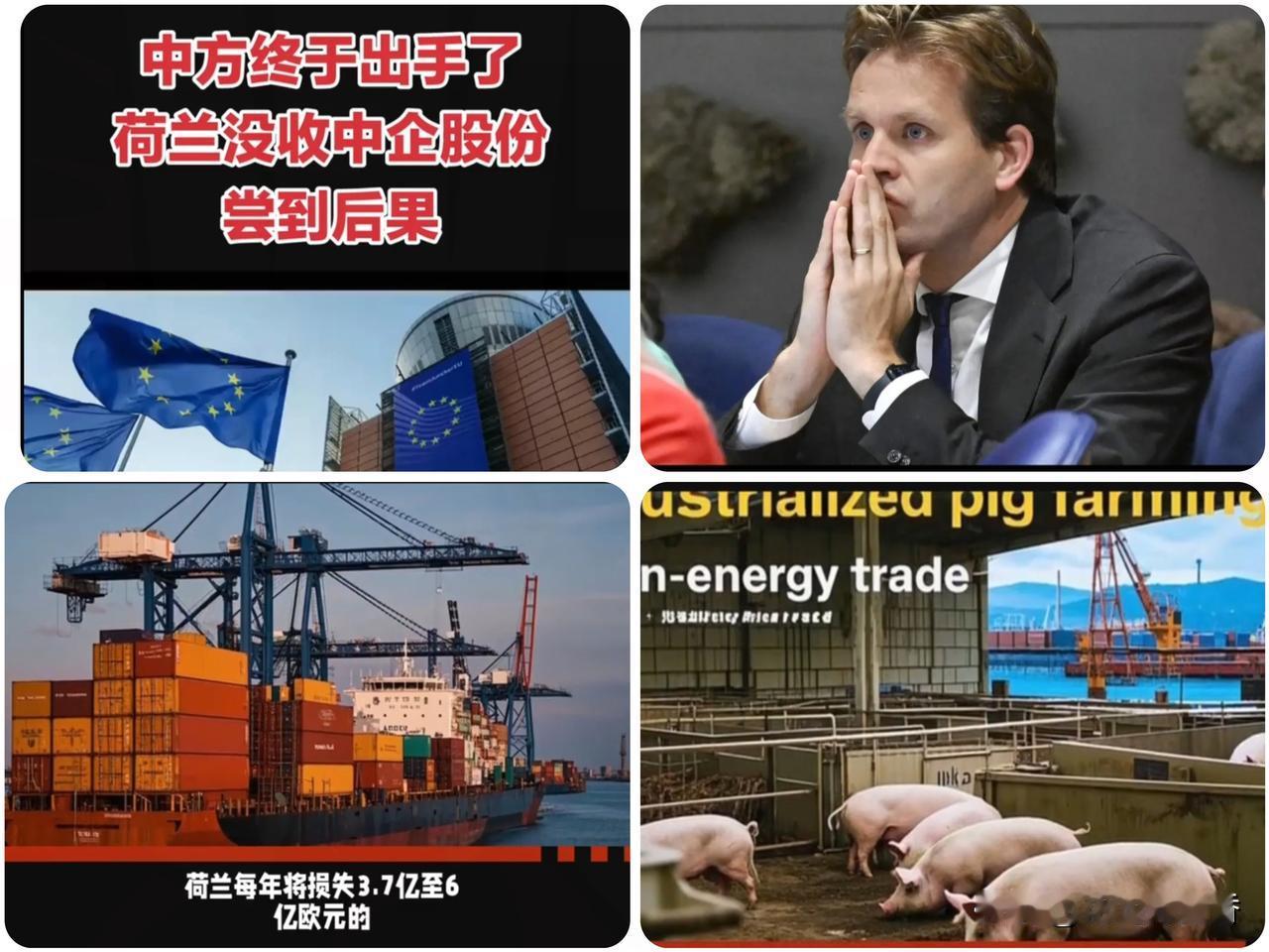 快讯！中方反倾销重拳落地荷兰猪肉遭顶格关税安世股权账还没算…！12