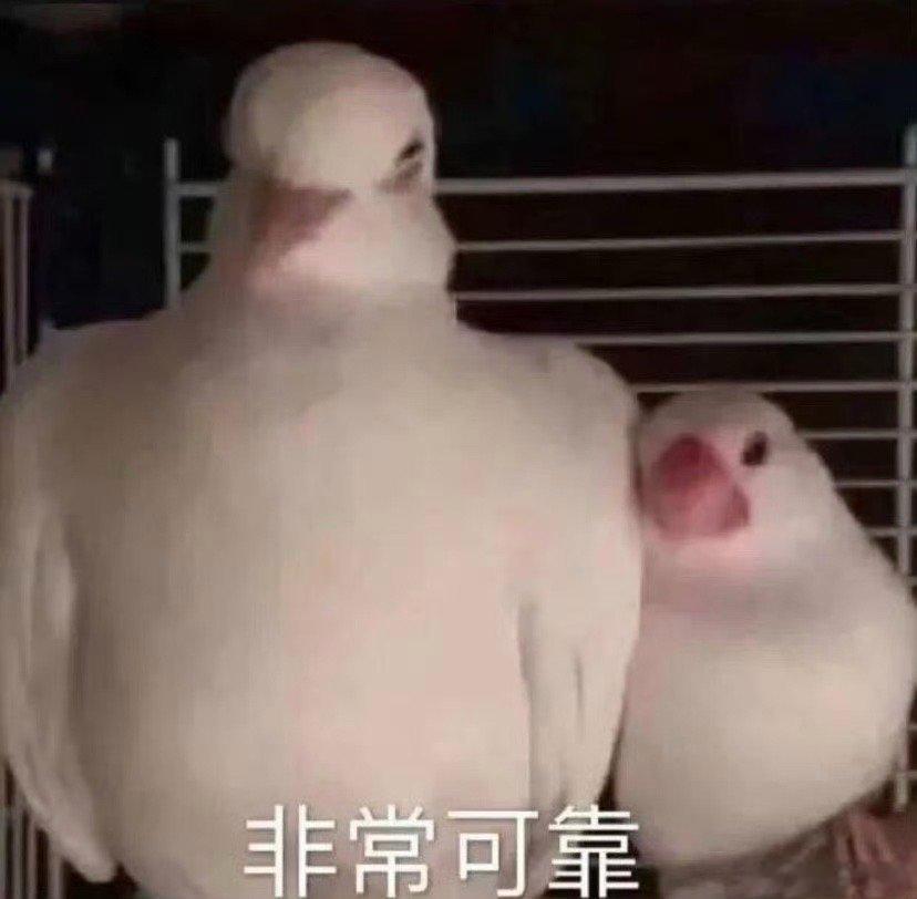 肖战和保镖体型差肖战和保镖体型差，身高183的肖战，在这位保镖旁边也显得小鸟依