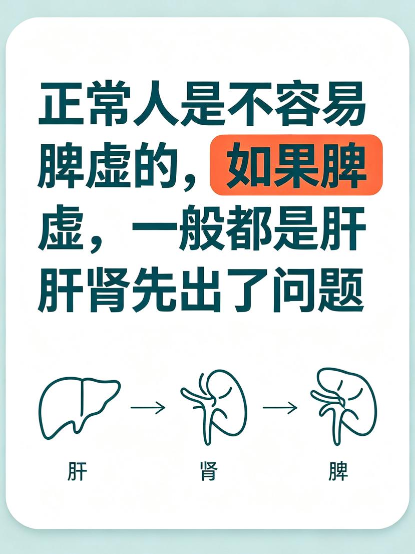正常人是不容易脾虚的，如果脾虚，一般都是肝肾先出了问题很多人一出现食欲不振、