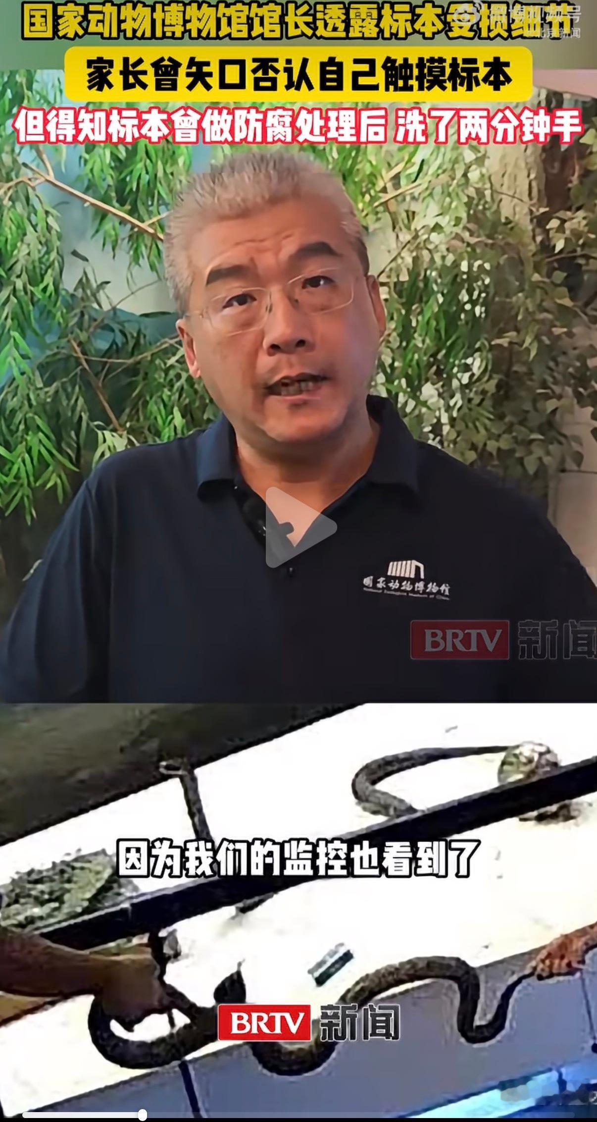 家长得知标本曾做防腐后洗了两分钟手人无语的时候真的会笑……​​​