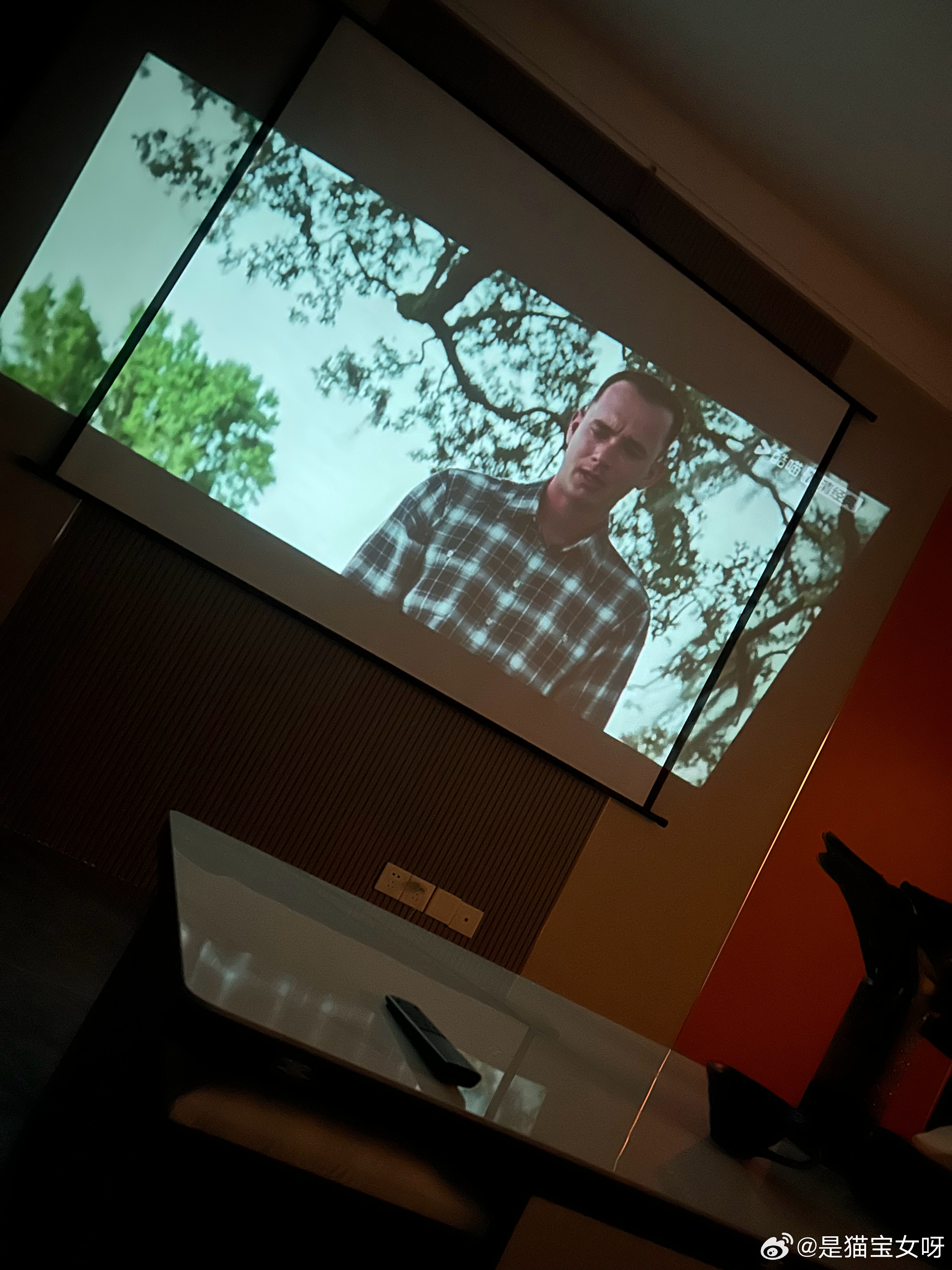 昨晚在客厅试睡，看完电影迷迷糊糊就睡了，最近掉发严重很害怕卧室有甲醛，测试了是浅